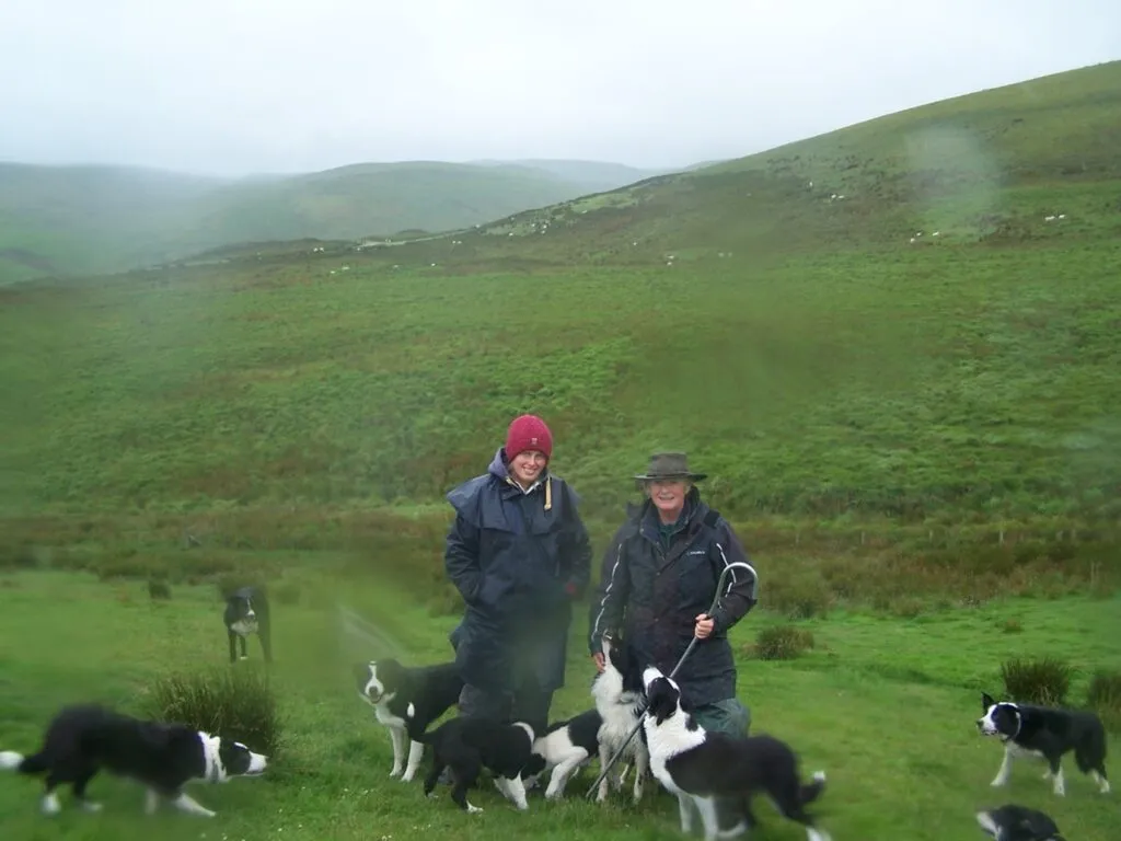 Erinna and Tanya with their sheepdogs on a typical wet rainy summer day at the farm . Copyright: All rights reserved Tanya at WildShepherd.